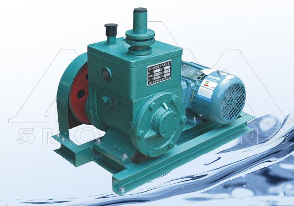 -國產(chǎn)高端真空泵，立足于科研創(chuàng)新，服務(wù)于高端造紙行業(yè)