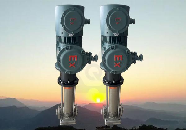 -立式多級磁力泵定制化研發，上海巧旭助力復雜工況穩定輸送