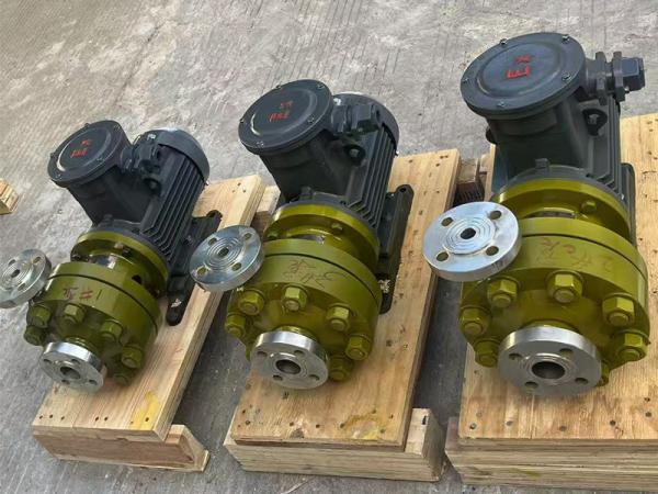 -上海巧旭為國家管網定制高壓磁力泵 解決撬座系統輸送之難題